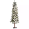 Discount 5 ft. Flocked Pre-Lit Grand Alpine Christmas Tree Christmas Trees