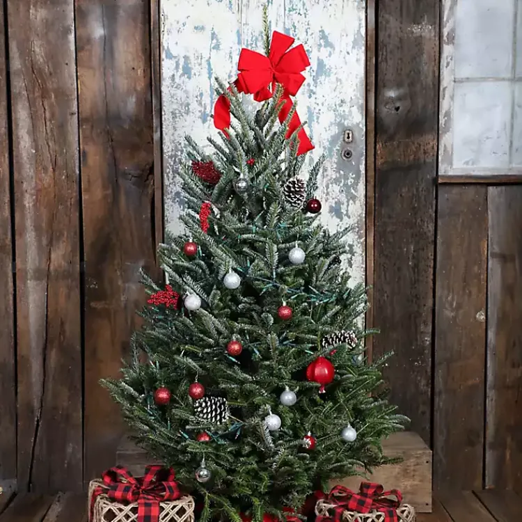 Hot 5 ft. Fresh Cut Fraser Fir Christmas Tree Christmas Trees