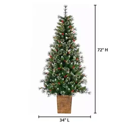 New 6 ft. Lit Glazier Pine Planter Christmas Tree Christmas Trees