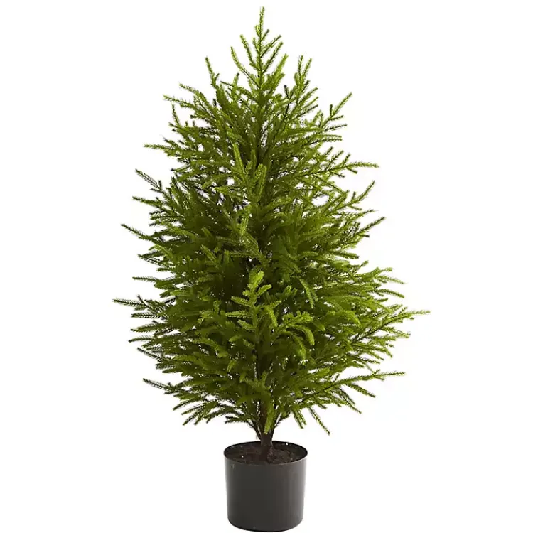 Discount 3 ft. Norfolk Island Pine Potted Christmas Tree Christmas Arrangements & Garland