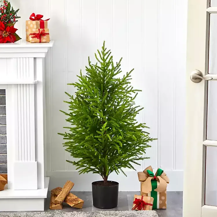 Discount 3 ft. Norfolk Island Pine Potted Christmas Tree Christmas Arrangements & Garland