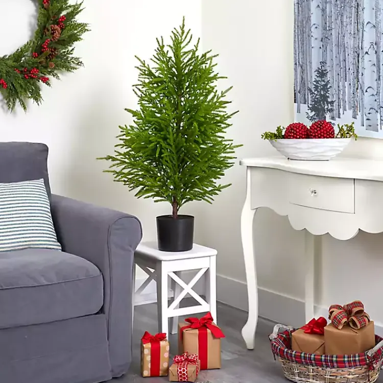 Discount 3 ft. Norfolk Island Pine Potted Christmas Tree Christmas Arrangements & Garland