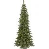 Best 6 ft. Pre-Lit Asheville Alpine Christmas Tree Christmas Trees