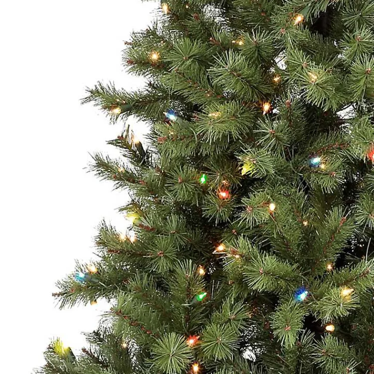 Best 6 ft. Pre-Lit Asheville Alpine Christmas Tree Christmas Trees