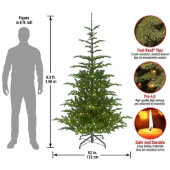 Online 6.5 ft. Pre-Lit Feel Real Norwegian Christmas Tree Christmas Trees