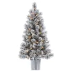 Online 4.5 ft. Pre-Lit Flocked Potted Pine Christmas Tree Christmas Trees