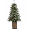 4 ft. Pre-Lit Glacier Pine Potted Christmas Tree Christmas Trees