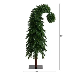 Online 7 ft. Pre-Lit Green Santa Hat Christmas Tree Christmas Trees
