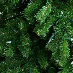 Online 7 ft. Pre-Lit Green Santa Hat Christmas Tree Christmas Trees