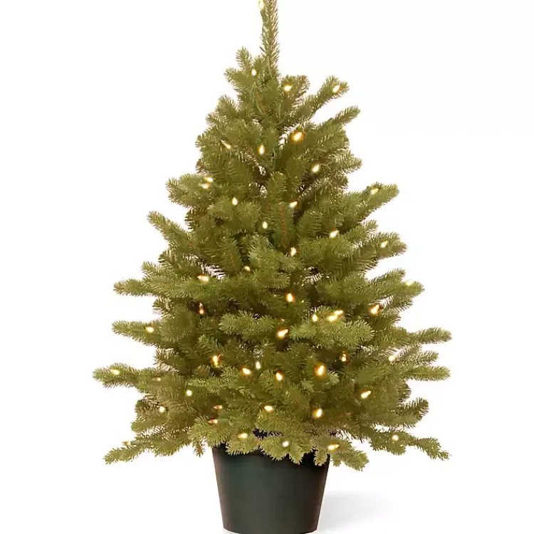 Discount 3 ft. Pre-Lit Hampton Spruce Potted Christmas Tree Christmas Arrangements & Garland