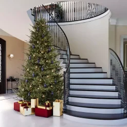 Hot 5.5 ft. Pre-Lit Itasca Fraser Christmas Tree Christmas Trees