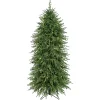 Discount 5 ft. Pre-Lit Natural Touch Norfolk Christmas Tree Christmas Trees