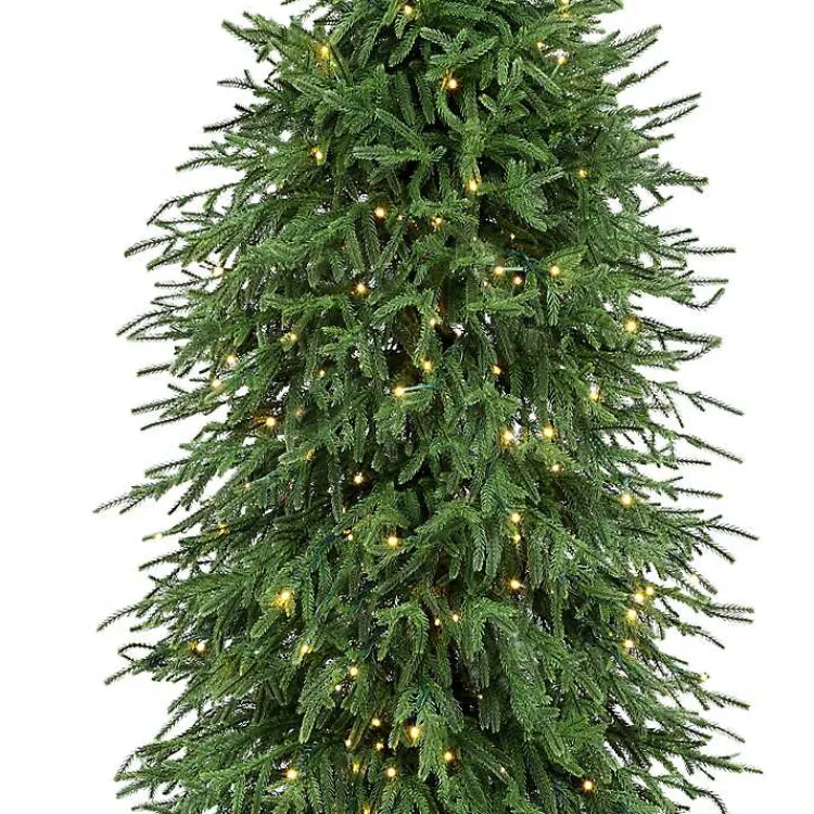 Discount 5 ft. Pre-Lit Natural Touch Norfolk Christmas Tree Christmas Trees