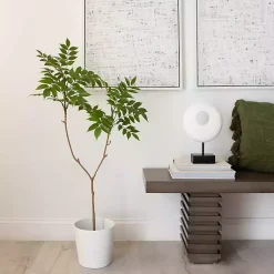 Hot 3.5 ft. Sumac Tree in Nursery Planter Trees & Topiaries