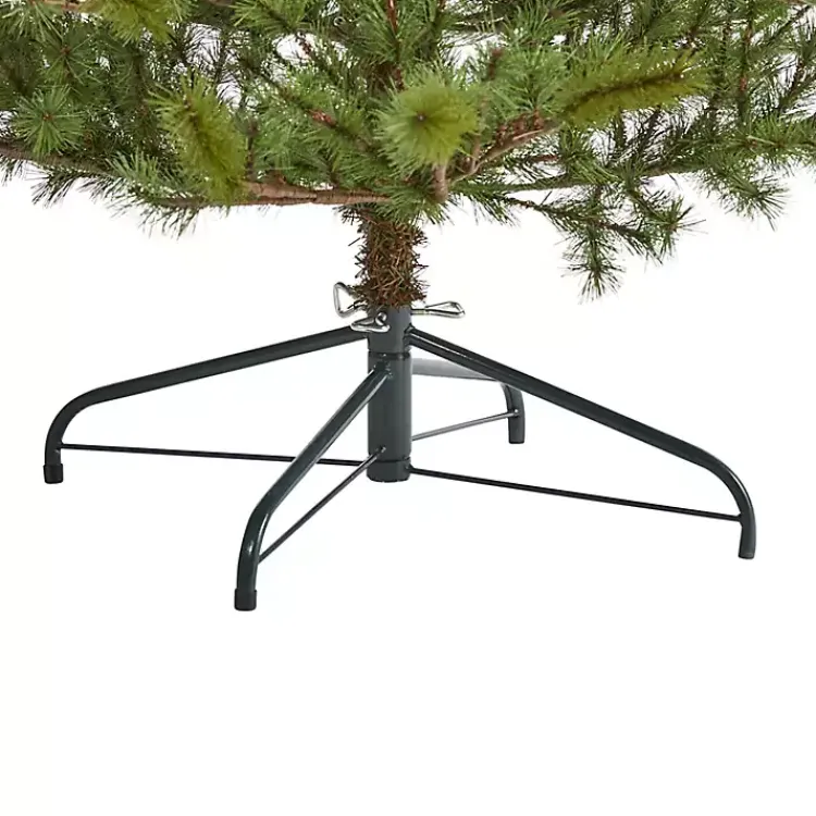 Discount 7 ft. Vancouver Mountain Pine Christmas Tree Christmas Trees