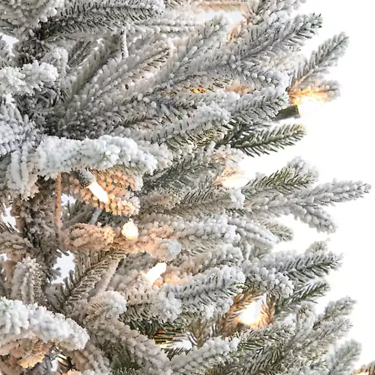 Discount 3 ft. White Lit Flocked Fraser Fir Christmas Tree Christmas Trees