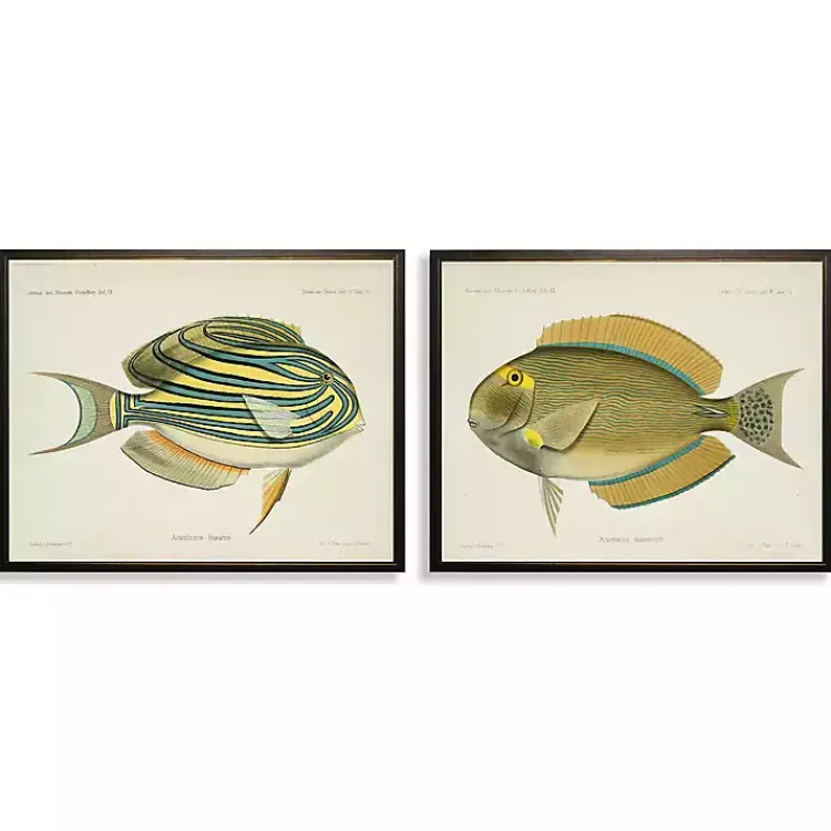Kirklands Home Framed Art|Acanthurus Fish Framed Art Prints, Set of 2