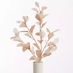New Antique Cream Eucalyptus Stems, Set of 2 Stems & Bouquets
