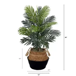 Outlet Areca Palm Tree in Woven Basket DIY Kit, 3 ft. Trees & Topiaries
