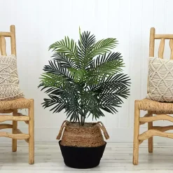 Outlet Areca Palm Tree in Woven Basket DIY Kit, 3 ft. Trees & Topiaries