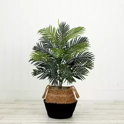 Outlet Areca Palm Tree in Woven Basket DIY Kit, 3 ft. Trees & Topiaries