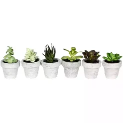 Outlet Assorted Potted Succulent Arrangements, Set of 6 Arrangements & Greenery