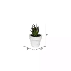 Outlet Assorted Potted Succulent Arrangements, Set of 6 Arrangements & Greenery