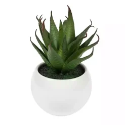 Online Assorted Succulents in White Planters, Set of 3 Arrangements & Greenery