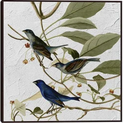 Kirklands Home Canvas Art|Audubon Indigo Bird Framed Canvas Art Print