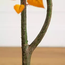 New Autumn Birch Tree in Decorative Planter, 4 ft. Trees & Topiaries