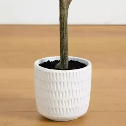 New Autumn Birch Tree in Decorative Planter, 4 ft. Trees & Topiaries