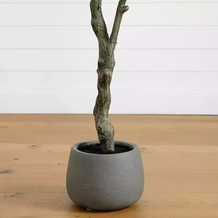 New Autumn Dogwood Tree in Decorative Planter, 6 ft. Trees & Topiaries