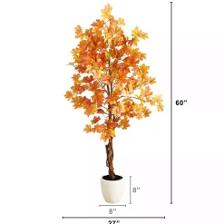 Hot Autumn Maple Double Trunk Tree, 5 ft. Trees & Topiaries