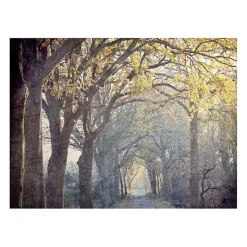 Kirklands Home Canvas Art|Avenue Of Trees Canvas Art Print