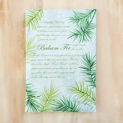 Discount Balsam Fir and Cedar Sachet Sachets