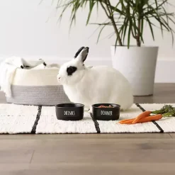 Kirklands Home Pet Dishes & Canisters|Dinner & Drinks 2-pc. Pet Bowl Set, 4 in. Black