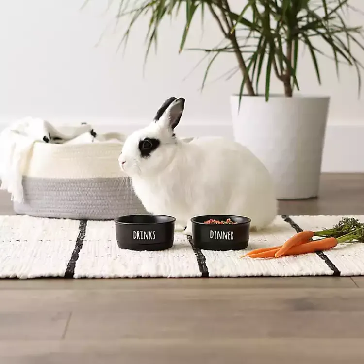 Kirklands Home Pet Dishes & Canisters|Dinner & Drinks 2-pc. Pet Bowl Set, 4 in. Black