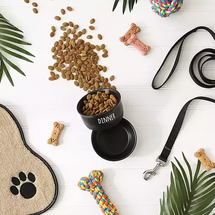 Kirklands Home Pet Dishes & Canisters|Dinner & Drinks 2-pc. Pet Bowl Set, 4 in. Black