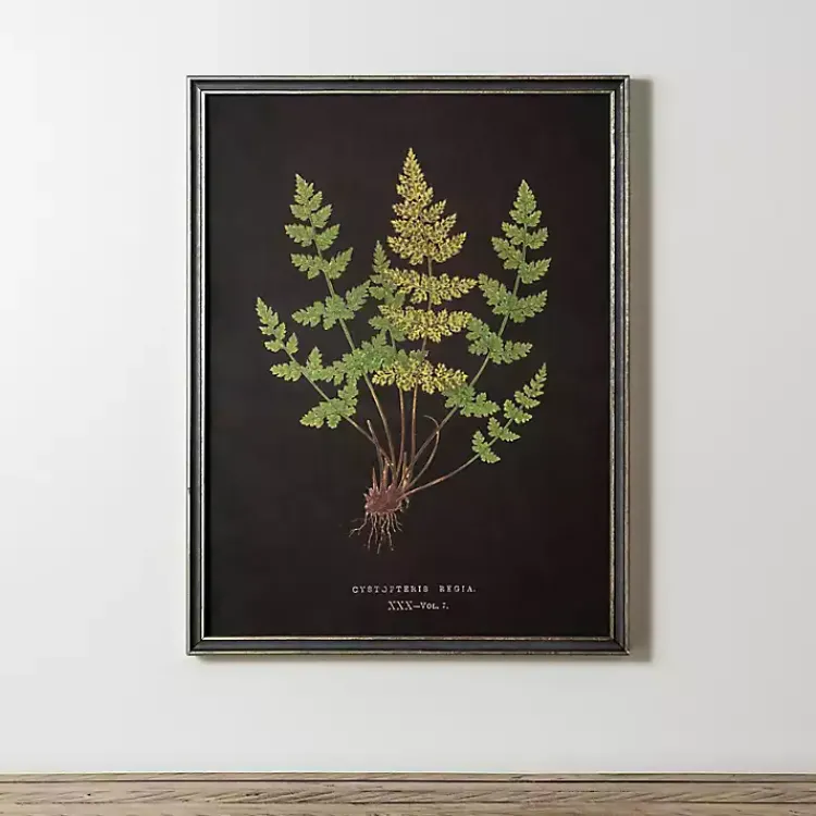 Kirklands Home Framed Art|Black Fern V Framed Art Print