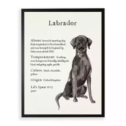 Kirklands Home Wall Quotes & Signs|Black Lab Facts Framed Wall Plaque