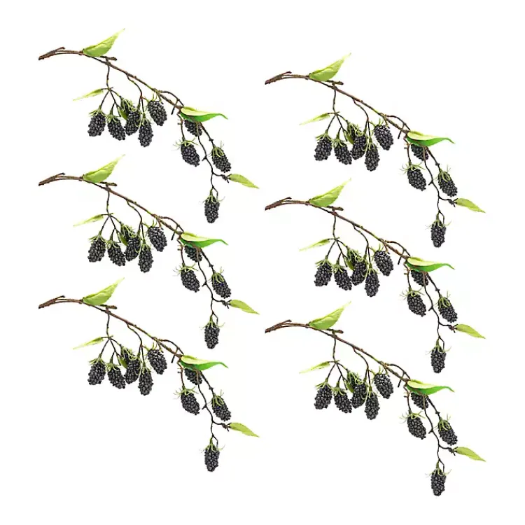 Best Blackberry Vine Sprays, Set of 6 Stems & Bouquets