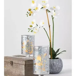 Online Blooming White Orchid Potted Floral Arrangement Arrangements & Greenery