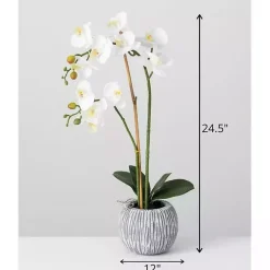 Online Blooming White Orchid Potted Floral Arrangement Arrangements & Greenery