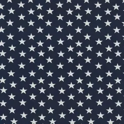 Kirklands Home Outdoor Cushions & Pillows|Blue and White Stars Outdoor Pillows, Set of 2