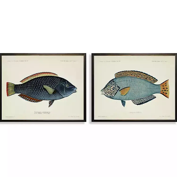 Kirklands Home Wall Quotes & Signs|Blue Fish Framed Art Prints, Set of 2