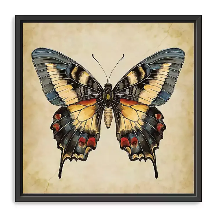 Kirklands Home Canvas Art|Blue Vintage Butterfly Framed Canvas Art Print