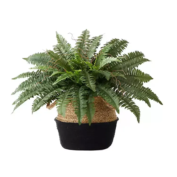 Clearance Boston Fern Arrangement in Woven Basket DIY Kit Arrangements & Greenery