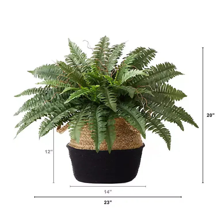Clearance Boston Fern Arrangement in Woven Basket DIY Kit Arrangements & Greenery