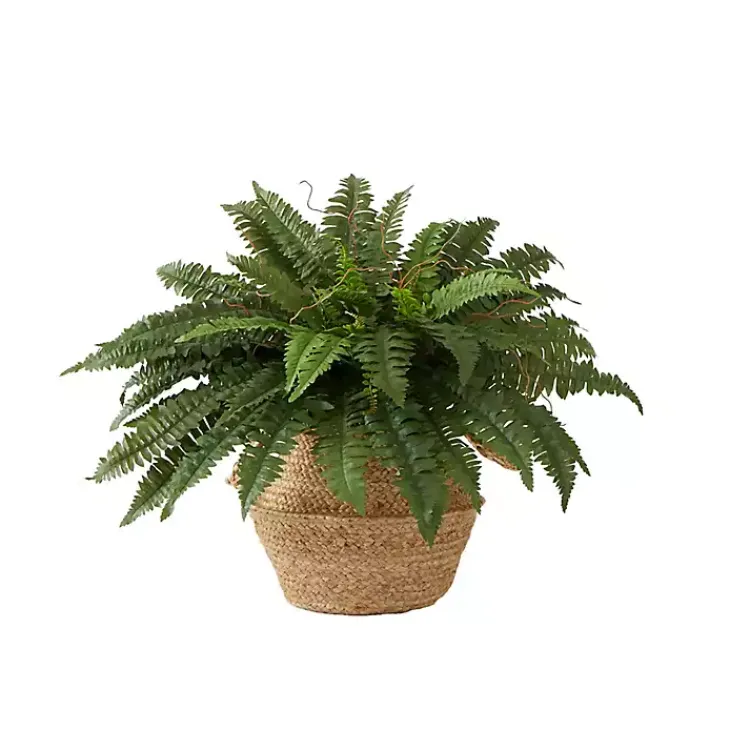 Clearance Boston Fern Arrangement in Brown Basket DIY Kit Arrangements & Greenery