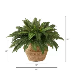 Clearance Boston Fern Arrangement in Brown Basket DIY Kit Arrangements & Greenery